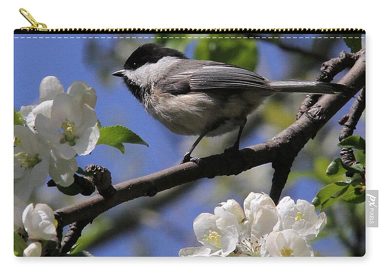 Chickadee Zip Pouch featuring the photograph Chickadee among the blossoms #1 by Doris Potter