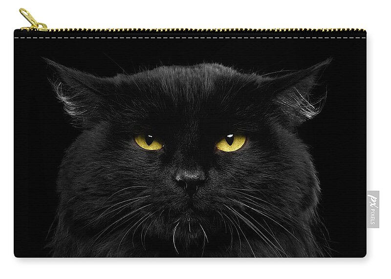 Black Zip Pouch featuring the photograph Close-up Black Cat with Yellow Eyes by Sergey Taran