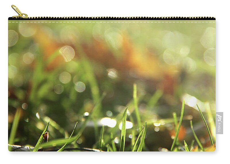 Dry Zip Pouch featuring the photograph Close-up of dry leaves on grass, in a sunny, humid autumn morning #1 by Emanuel Tanjala