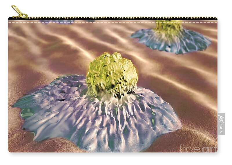 Cancer Zip Pouch featuring the photograph Colon Cancer Cells, Illustration #1 by Spencer Sutton