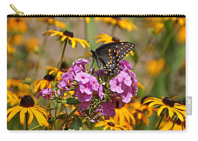 Butterfly Zip Pouch featuring the photograph Colorful #1 by Sandy Keeton