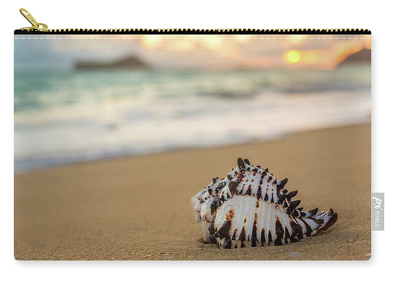 Aqua Zip Pouch featuring the photograph Conch Shell at Sunrise #1 by Leigh Anne Meeks