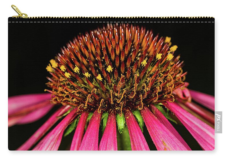 Jay Stockhaus Zip Pouch featuring the photograph Cone Flower #1 by Jay Stockhaus
