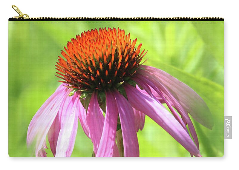 Coneflower Zip Pouch featuring the photograph Coneflower Stony Brook New York #1 by Bob Savage