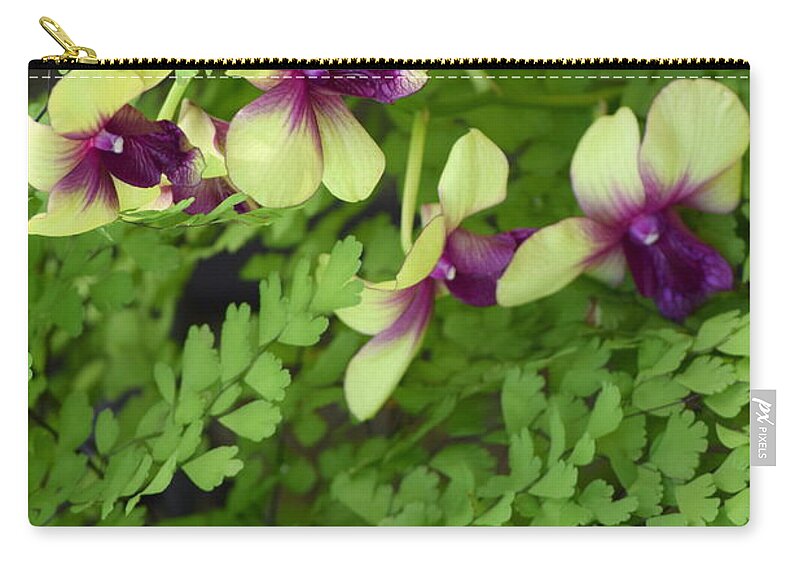 Floral Zip Pouch featuring the photograph Contrasts #1 by Deborah Crew-Johnson