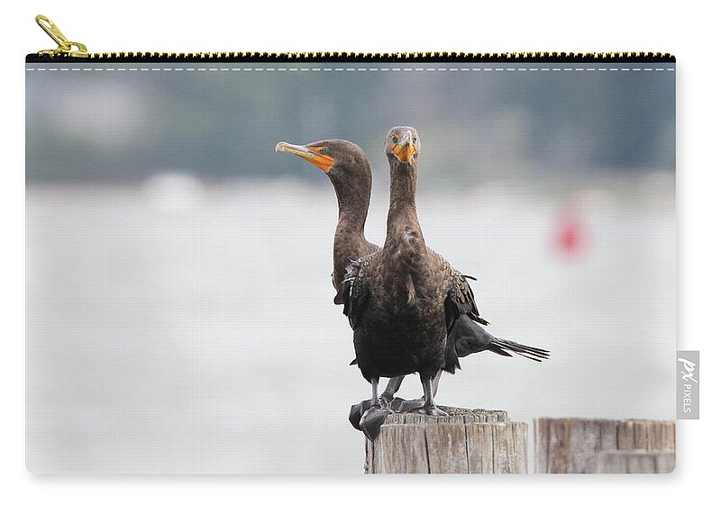 Cormorant Zip Pouch featuring the photograph Cormorants Port Jefferson New York #1 by Bob Savage