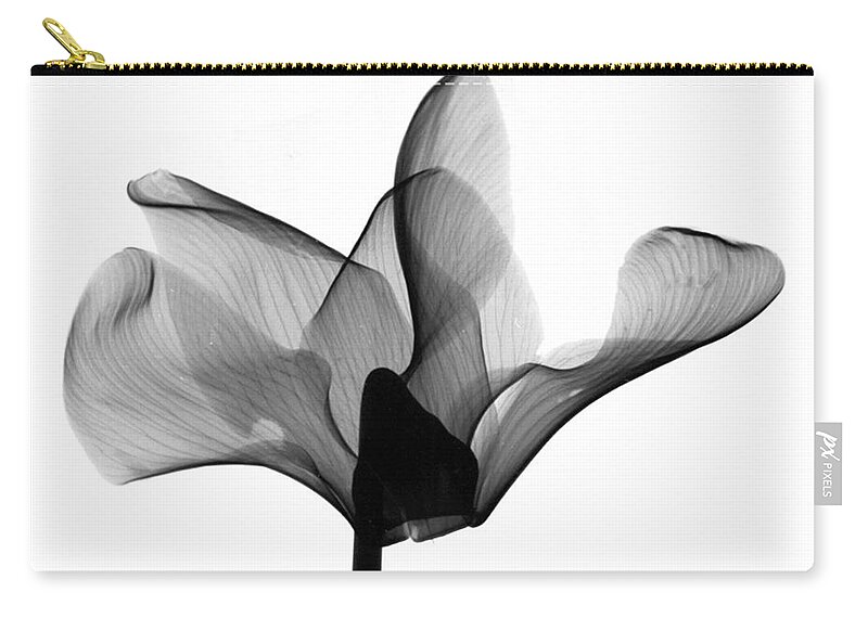 Nature Zip Pouch featuring the photograph Cyclamen Flower X-ray #1 by Bert Myers