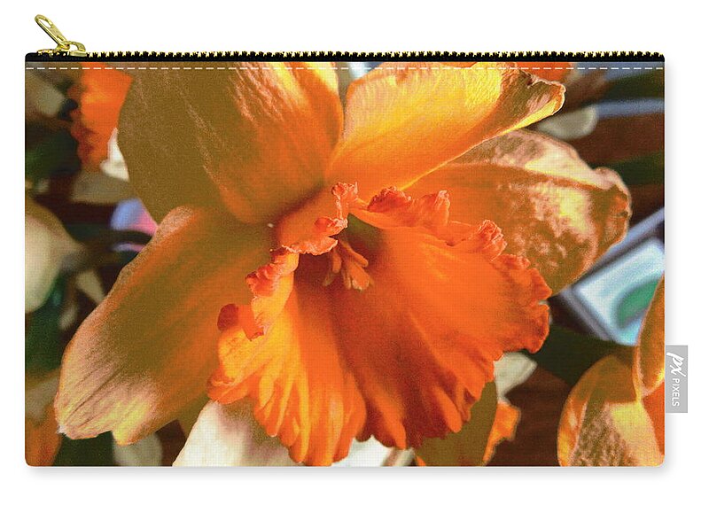 Daffodil Zip Pouch featuring the photograph Daffodil #1 by Stephanie Moore