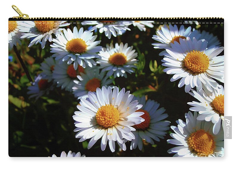 Daisy Zip Pouch featuring the photograph Daisies #1 by Nina Ficur Feenan