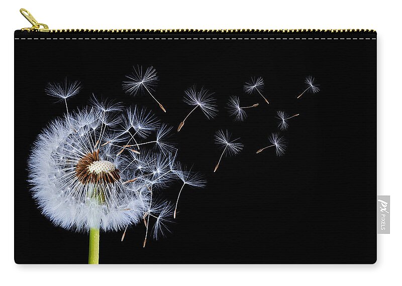 Abstract Zip Pouch featuring the photograph Dandelion on black background #1 by Bess Hamiti