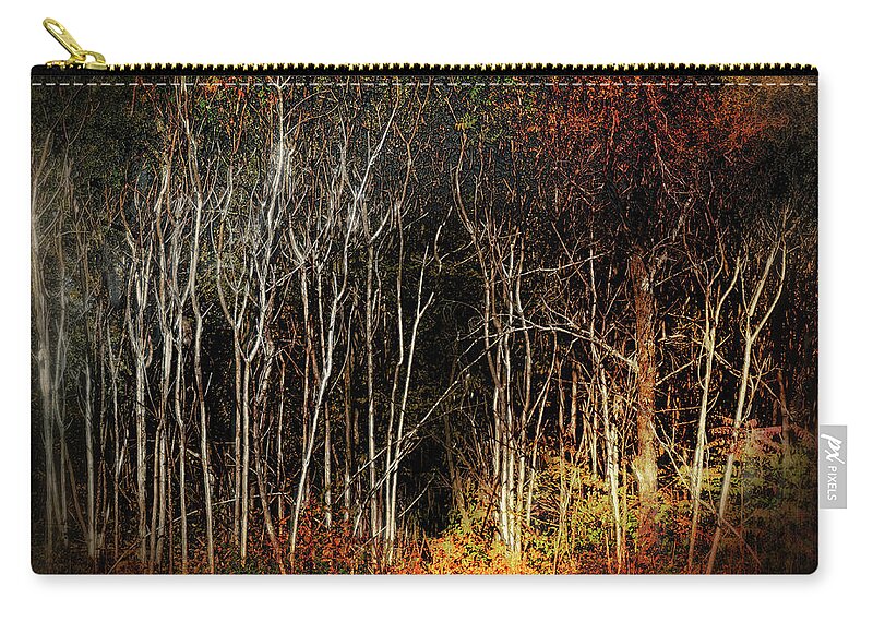 Daybreak Zip Pouch featuring the photograph Daybreak #1 by John Anderson