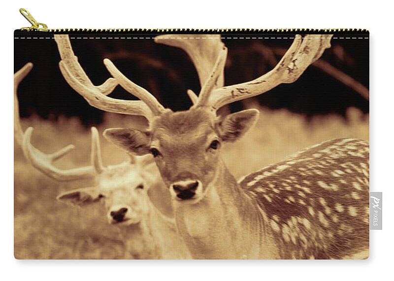 Deer Zip Pouch featuring the photograph Deer Sepia #1 by Douglas Barnard
