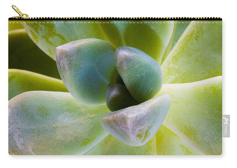 Beautiful Carry-all Pouch featuring the photograph Blue Pearl Plant by Raul Rodriguez