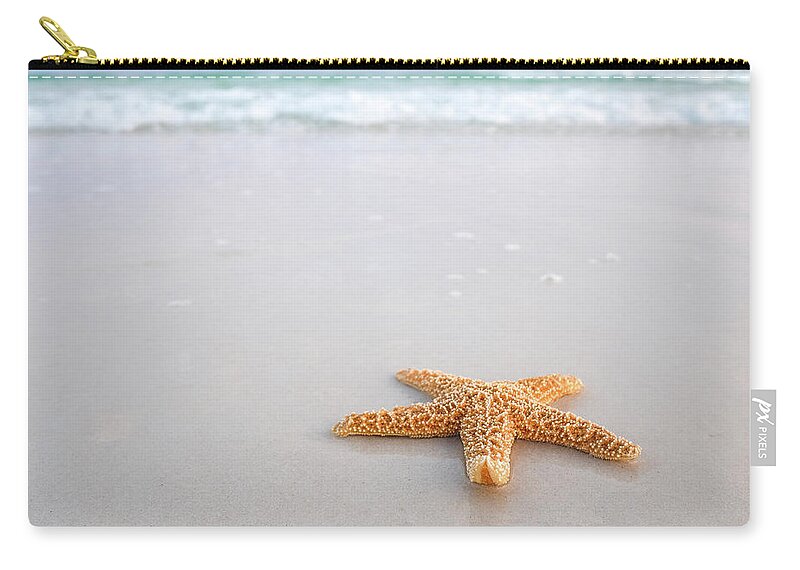 Destin Zip Pouch featuring the photograph Destin Florida Miramar Beach Starfish #1 by Robert Bellomy
