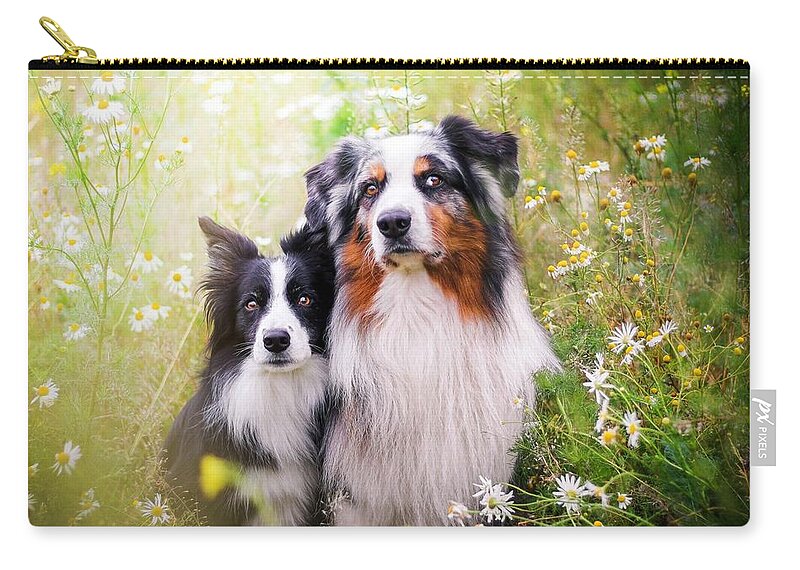 Dog Zip Pouch featuring the photograph Dog #1 by Jackie Russo