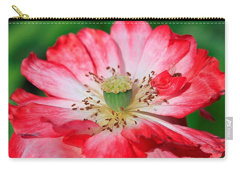 Mccombie Zip Pouch featuring the photograph Double Red and White Poppy from the Garden Gnome Mix #5 by J McCombie