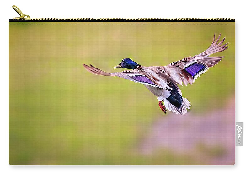 Animal Carry-all Pouch featuring the photograph Duck-drake by Peter Lakomy