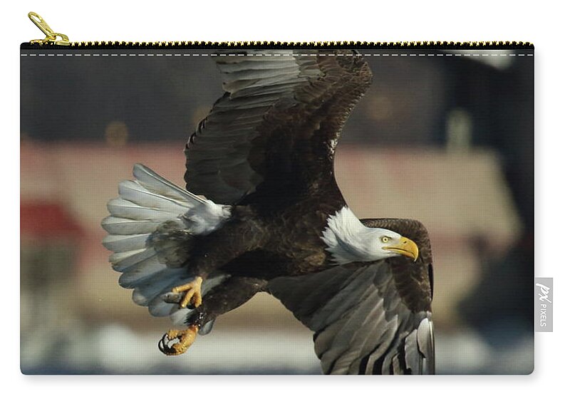 Eagle Zip Pouch featuring the photograph Eagle Flight #1 by Coby Cooper