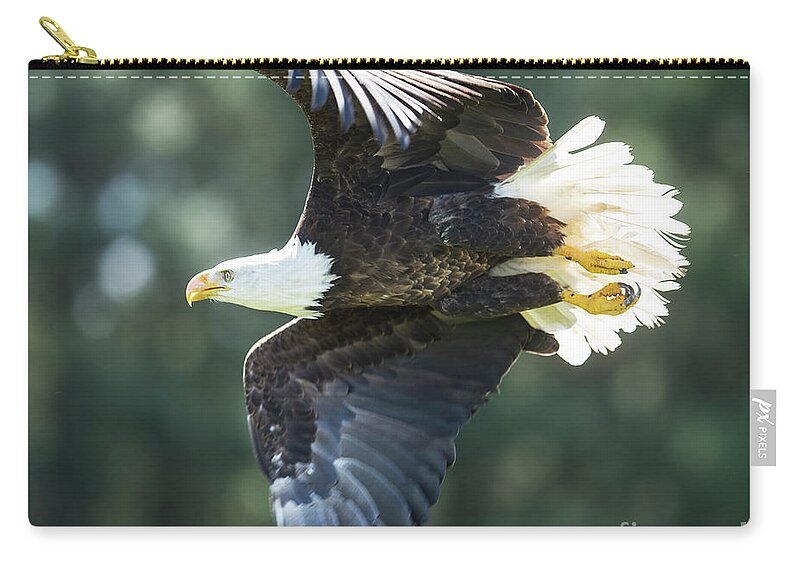 Bald Eagle Zip Pouch featuring the photograph Eagle Flying 3005 #1 by Steve Somerville