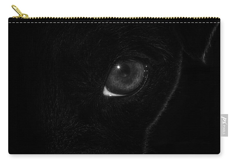Dog Zip Pouch featuring the photograph Eye Spy #1 by Nick Bywater