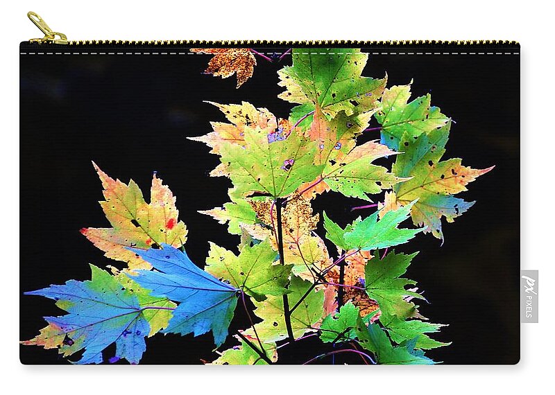 Autumn Zip Pouch featuring the photograph Fall Leaves #1 by Merle Grenz