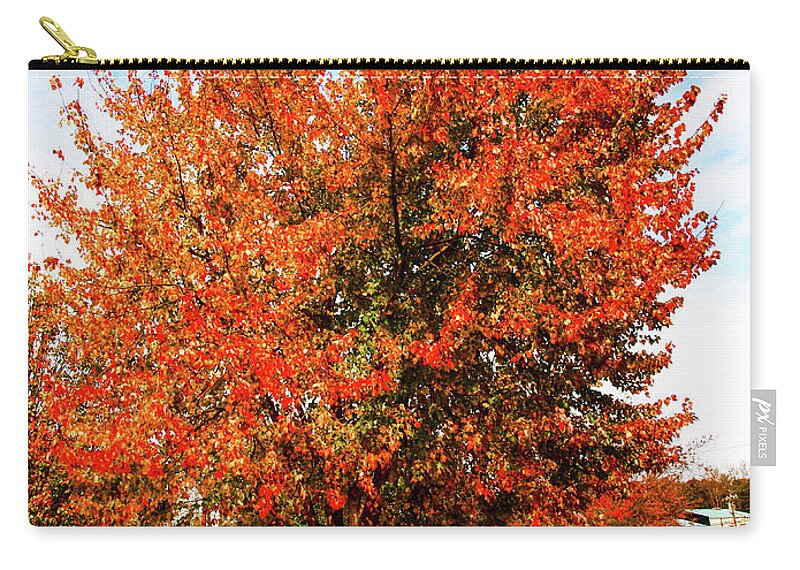 Fall Carry-all Pouch featuring the photograph Fall Time by Randy Sylvia