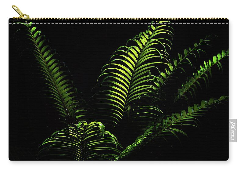 Fern Zip Pouch featuring the photograph Ferns #1 by Camille Lopez