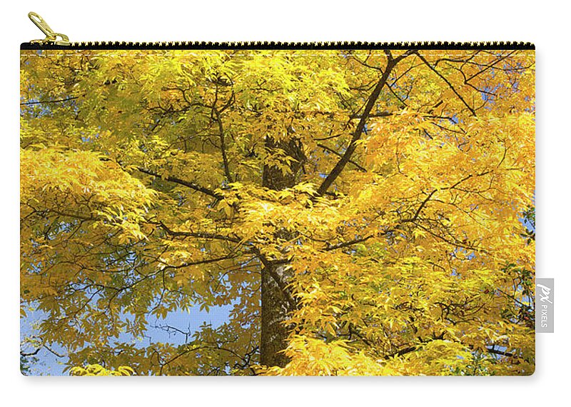 Carya Cordiformis Zip Pouch featuring the photograph Fire In The Sky #1 by Tim Gainey