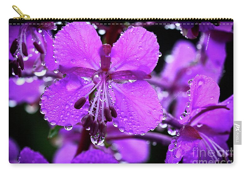 Summer Zip Pouch featuring the photograph Fireweed with Dew #1 by Thomas R Fletcher