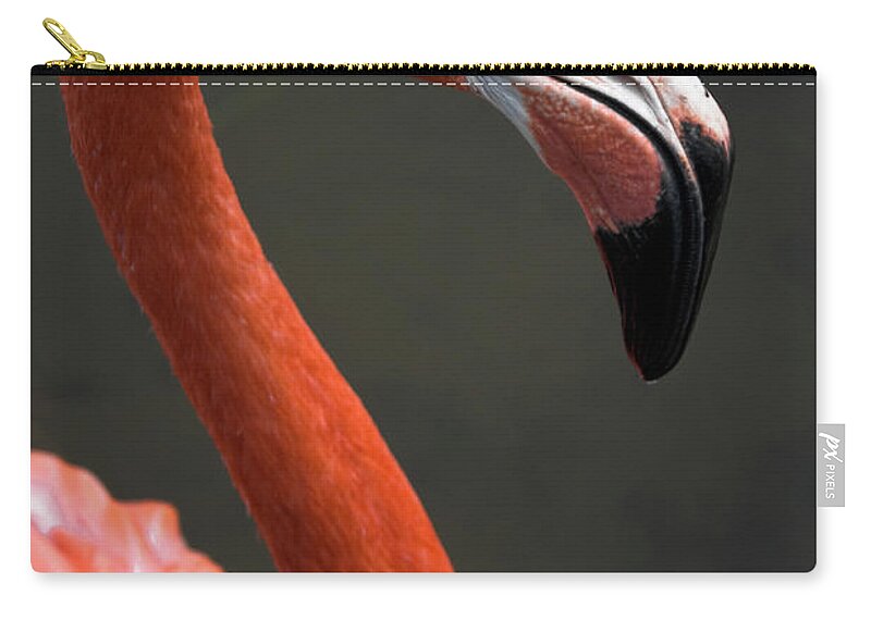 Flamingo Carry-all Pouch featuring the photograph Flamingo by Christopher Holmes