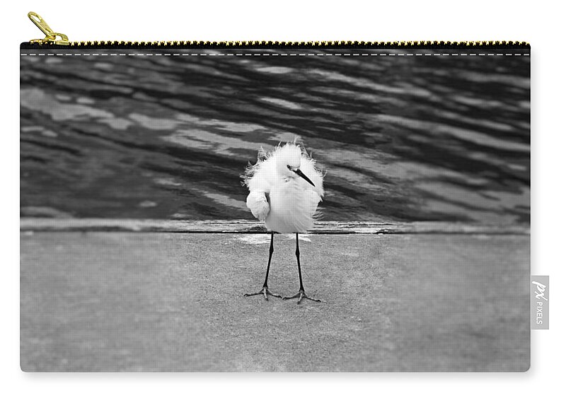 Snowy Egret Zip Pouch featuring the photograph Floating on the Breeze #1 by Michiale Schneider