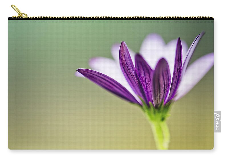 Flower Zip Pouch featuring the photograph Flower on Summer Meadow #1 by Nailia Schwarz