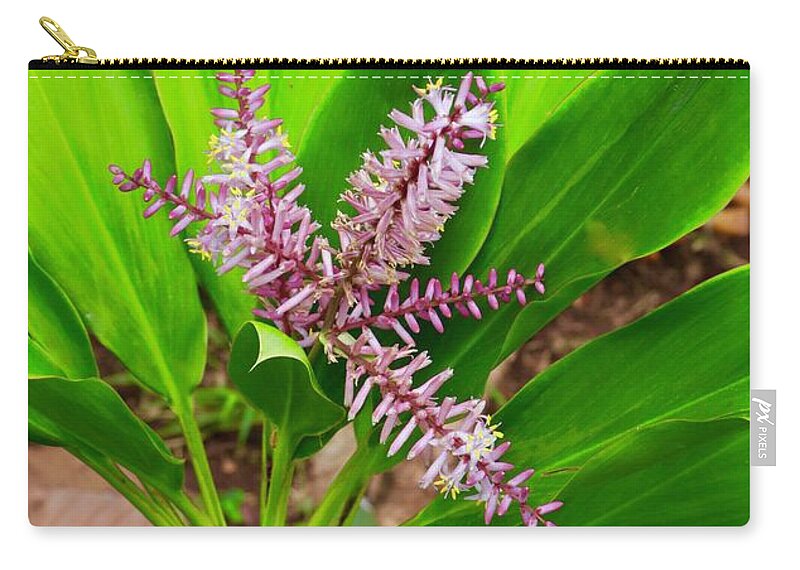 Ki Plant Zip Pouch featuring the photograph Flowering Ti Plant #1 by Craig Wood