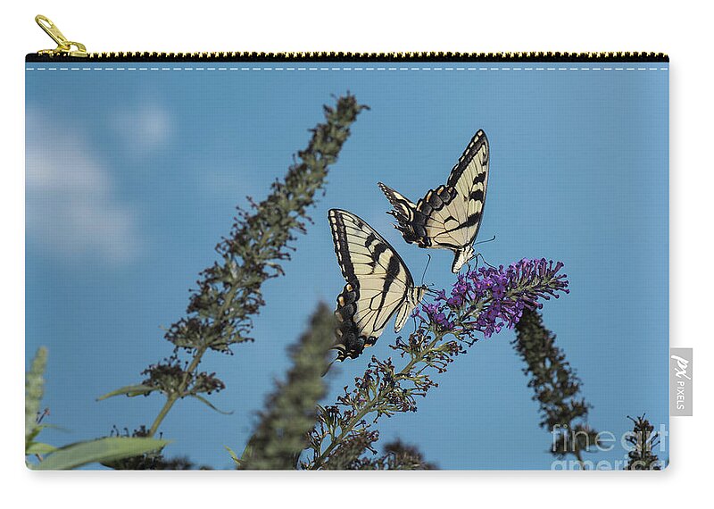 Butterfly Zip Pouch featuring the photograph Follow The Leader by Judy Wolinsky