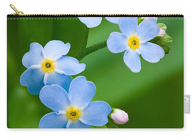 Forget-me-not Zip Pouch featuring the photograph Forget-Me-Not #1 by Yuri Peress