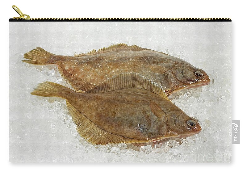 Animal Zip Pouch featuring the photograph Fresh Brill On Ice #1 by Gerard Lacz