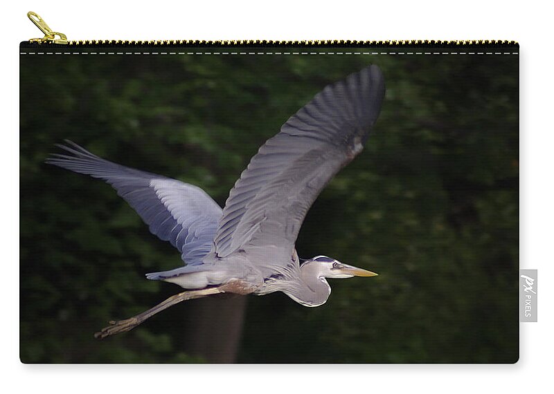 2d Zip Pouch featuring the photograph Great Blue Heron In Flight #1 by Brian Wallace