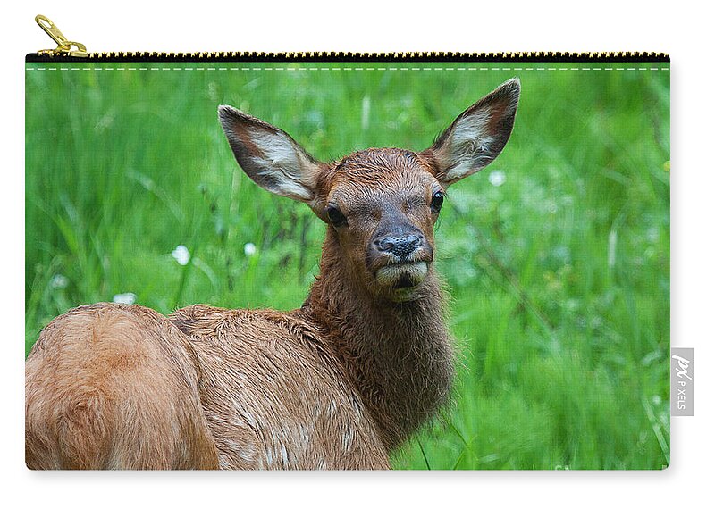 Elk Zip Pouch featuring the photograph Green Pastures by Jim Garrison