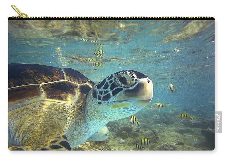 00451417 Carry-all Pouch featuring the photograph Green Sea Turtle Balicasag Island by Tim Fitzharris