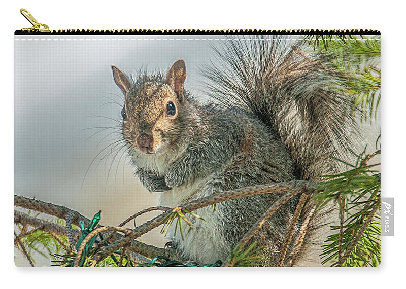 Nature Zip Pouch featuring the photograph Greetings #1 by Cathy Kovarik