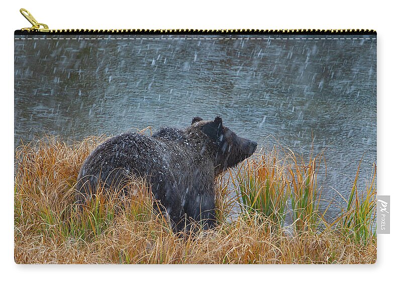 Mark Miller Photos Zip Pouch featuring the photograph Grizzly in Falling Snow by Mark Miller