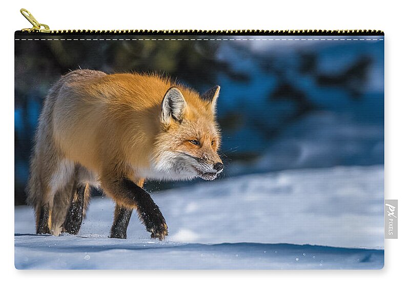 Red Fox Zip Pouch featuring the photograph Handsome Mr. Fox by Yeates Photography