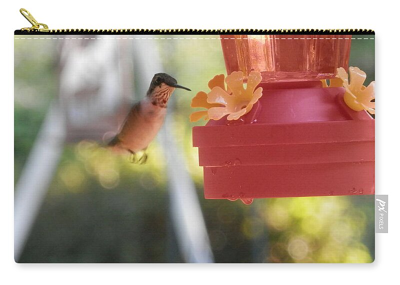 This #baby Is #glad To See #fresh #red #sugar #water And A #happy #yellow Daisy To #drink From. Hello #georgia Zip Pouch featuring the photograph Happy Hummingbird #1 by Belinda Lee