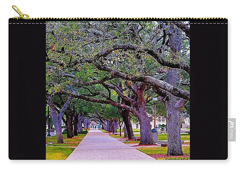 Newday Zip Pouch featuring the photograph Happy Sunday! May The #path You Take #1 by Austin Tuxedo Cat
