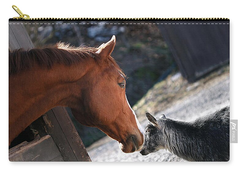 Horse Zip Pouch featuring the photograph Hello Friend #1 by Angela Rath
