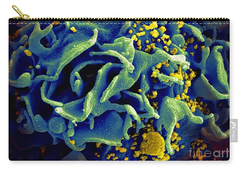 Microbiology Carry-all Pouch featuring the photograph Hiv-infected T Cell, Sem by Science Source