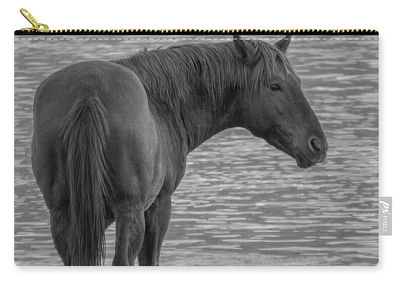 Horse Zip Pouch featuring the photograph Horse 10 by Christy Garavetto