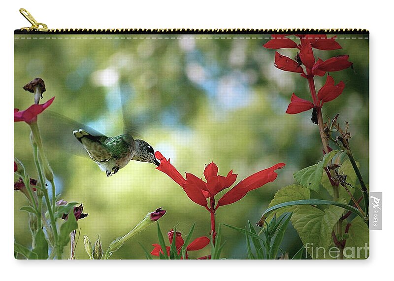 Color Photography Zip Pouch featuring the photograph Hummingbird Delight #1 by Sue Stefanowicz