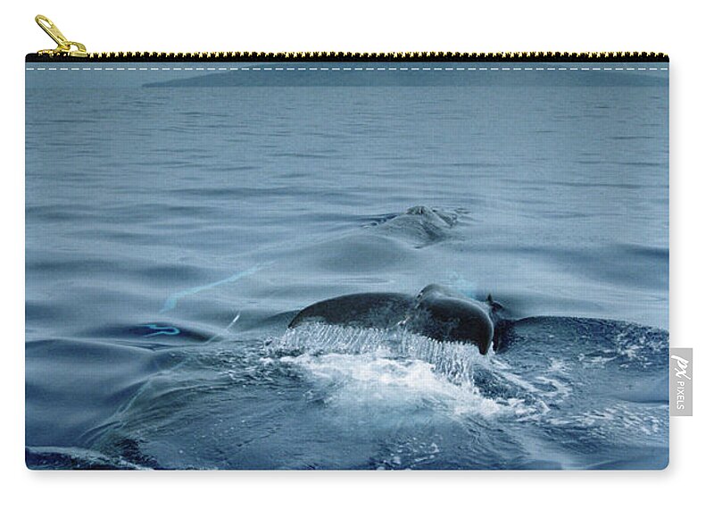 Mp Zip Pouch featuring the photograph Humpback Whale and Calf #1 by Flip Nicklin