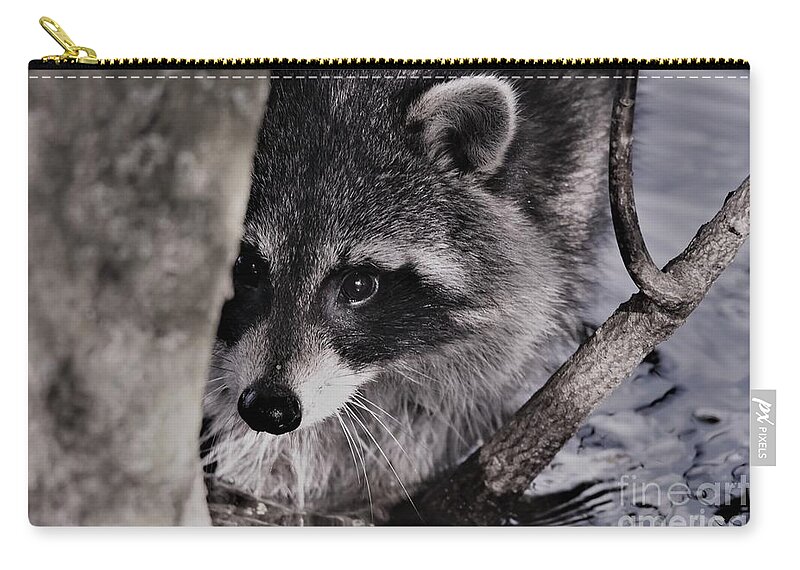Raccoon Zip Pouch featuring the photograph I See You #1 by Julie Adair